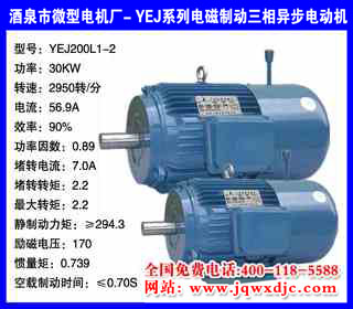 30KW ���� YEJϵ�е���ƶ�����綯�� YEJ200L1-2